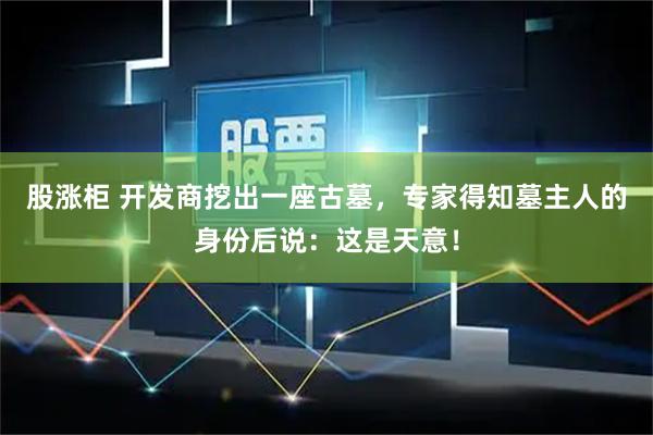 股涨柜 开发商挖出一座古墓，专家得知墓主人的身份后说：这是天意！
