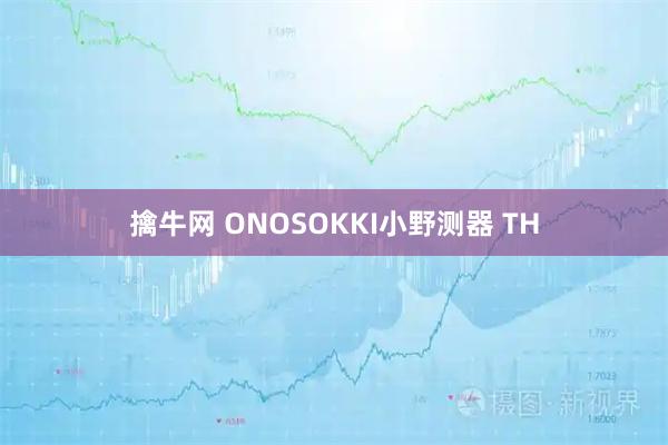 擒牛网 ONOSOKKI小野测器 TH